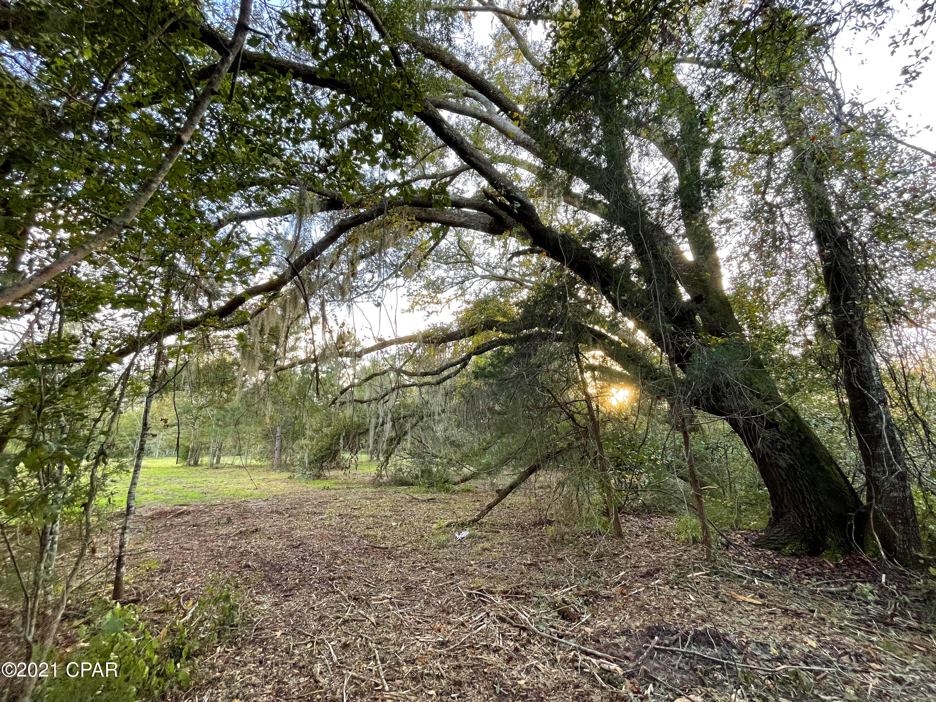 [No Recorded Subdiv] - Land