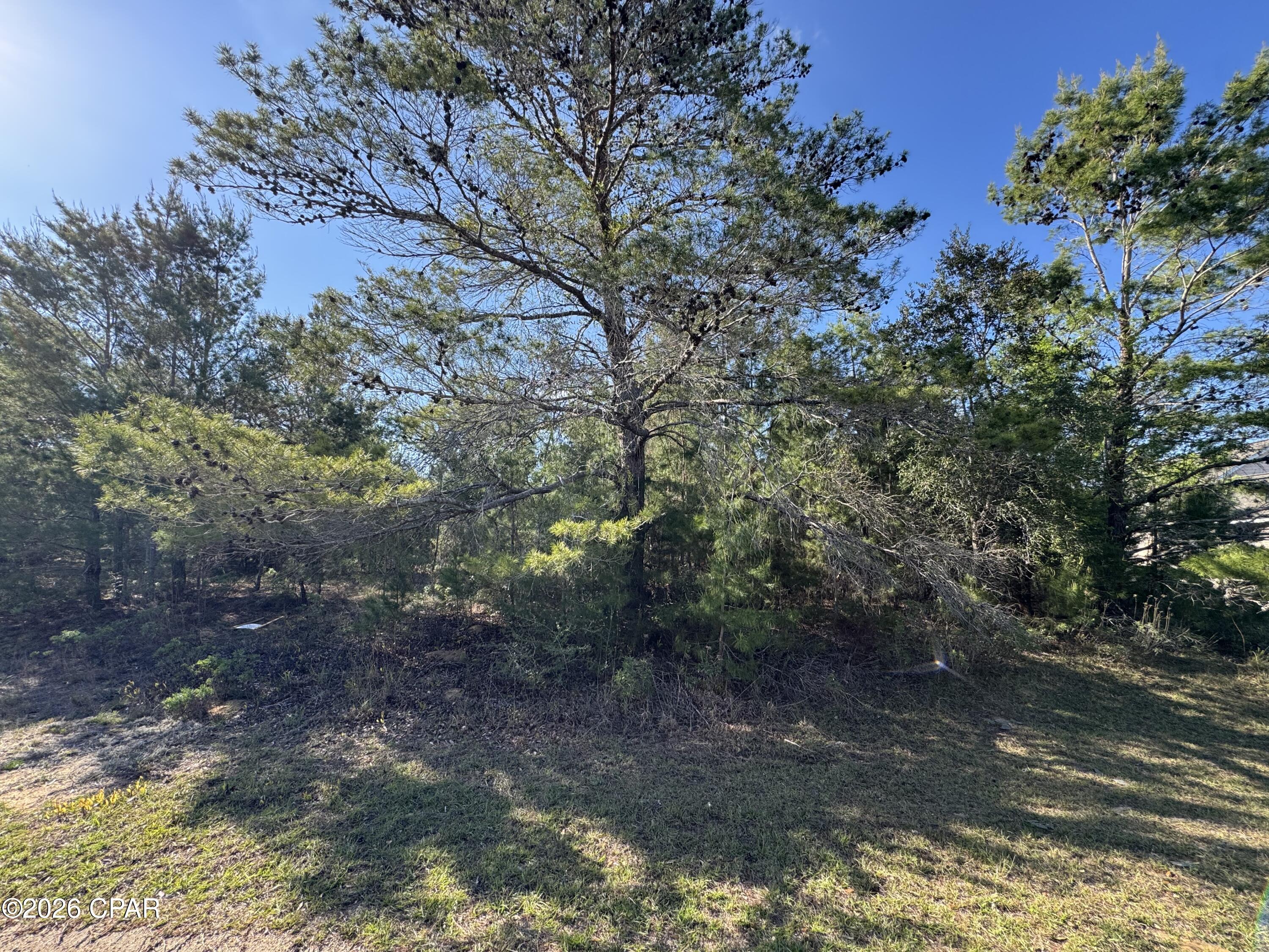 Sunny Hills Unit 19 - Land