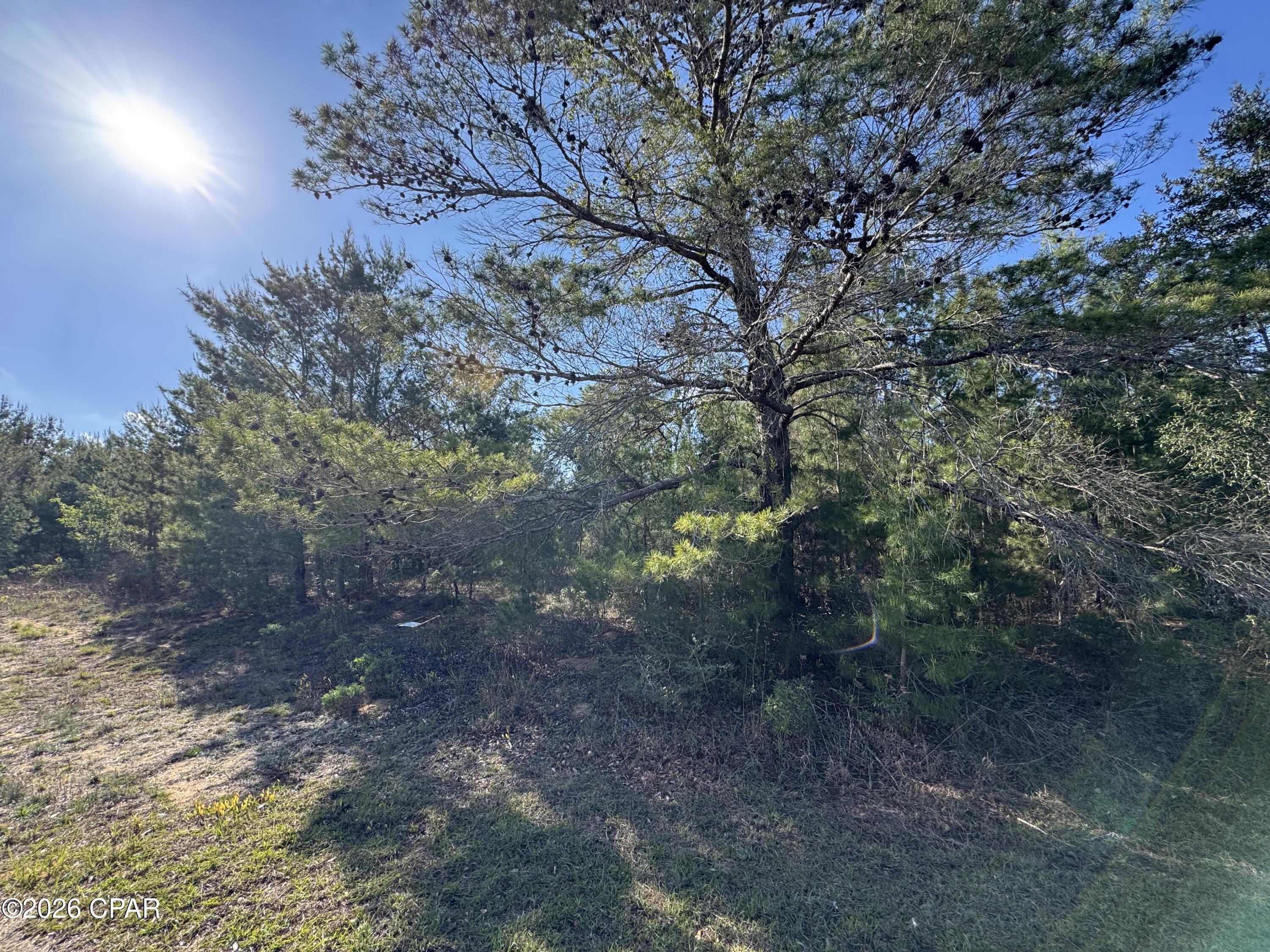 Sunny Hills Unit 19 - Land