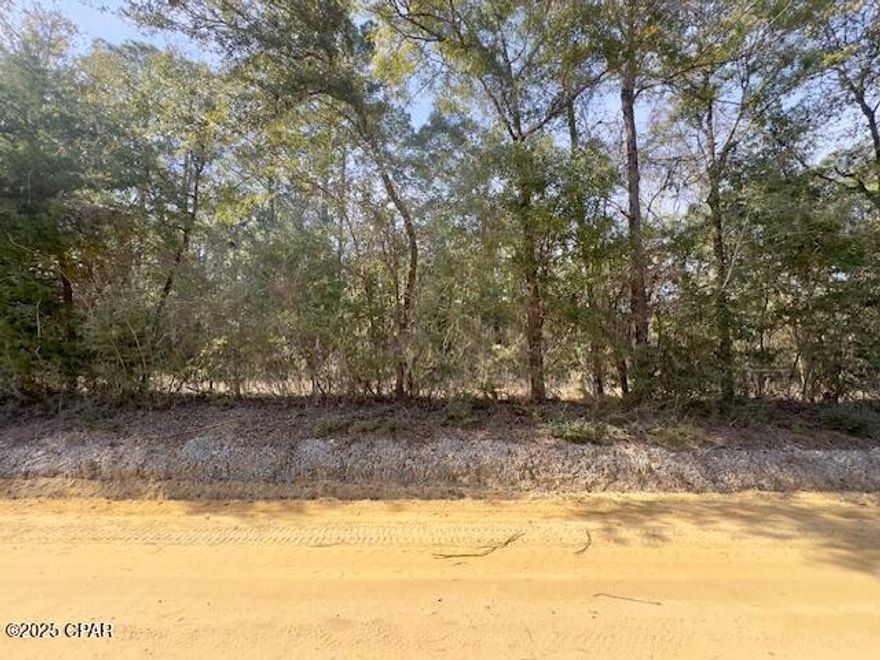Escape to the peace and tranquility of this 10-acre wooded parcel, located on a well-maintained county dirt road. With plenty of space and privacy, this land offers a fantastic opportunity to build your dream home surrounded by nature. Whether you're looking to create your own private retreat or a homestead, the possibilities are endless.

Just 1 mile from the Tobe Russ Boat Launch on the stunning Pate Pond, and only 5 minutes from Holmes Creek, this property provides easy access to a variety of outdoor recreational activities. Spend your days boating, fishing, kayaking, or exploring the scenic waterways nearby.

This is your chance to own a peaceful piece of land in a beautiful, serene area with endless potential. Don't miss out on the opportunity to turn this wooded gem into your own slice of paradise.