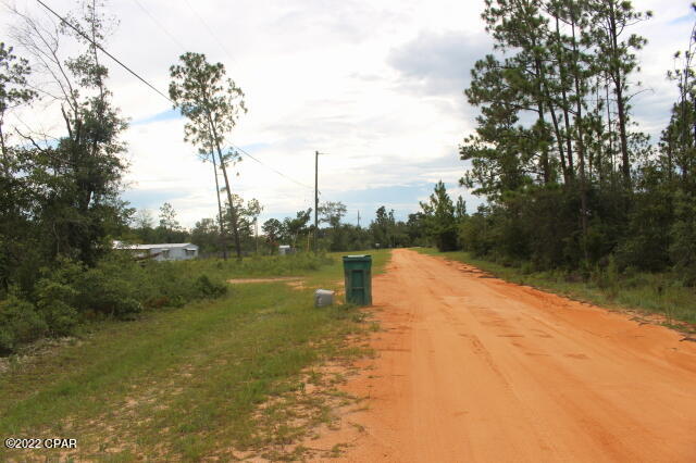 Buckhorn Creek - Land