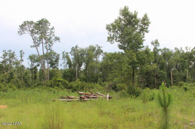 Buckhorn Creek - Land