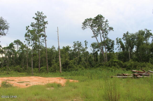 Buckhorn Creek - Land