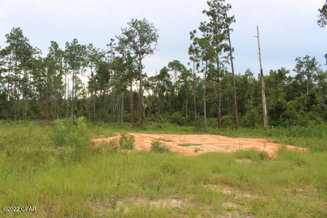 Buckhorn Creek - Land