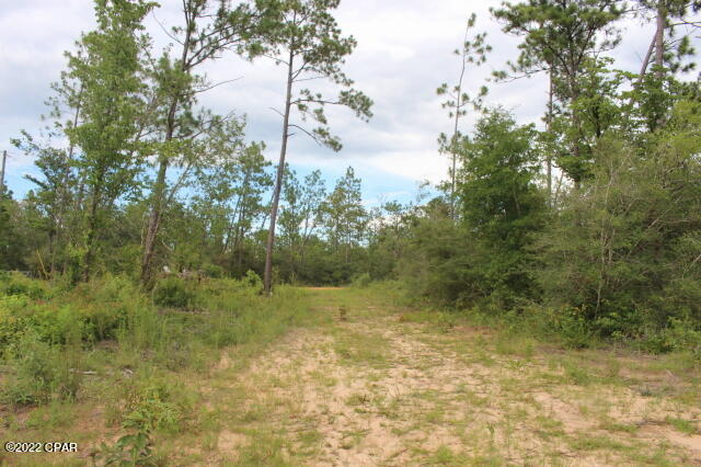 Buckhorn Creek - Land