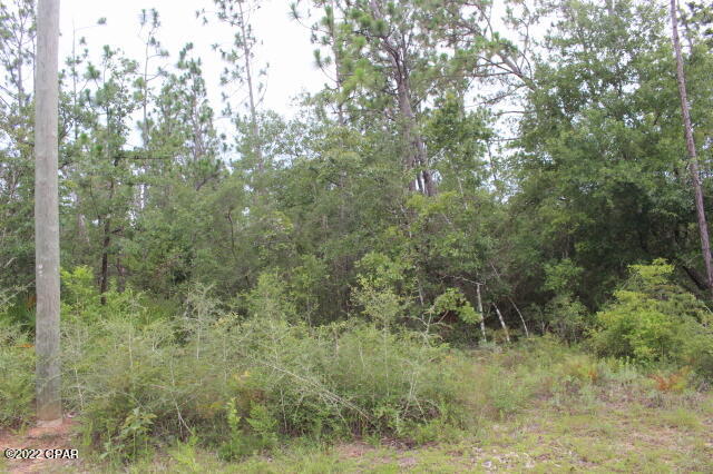 Buckhorn Creek - Land