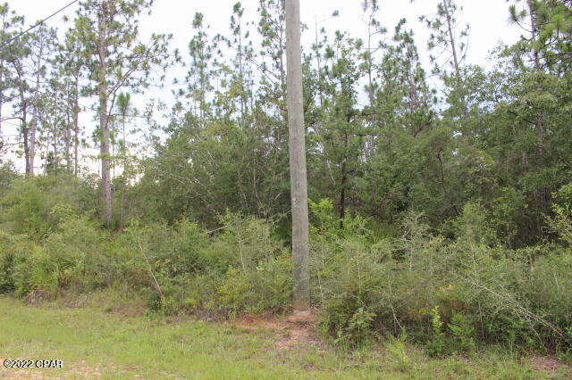 Buckhorn Creek - Land