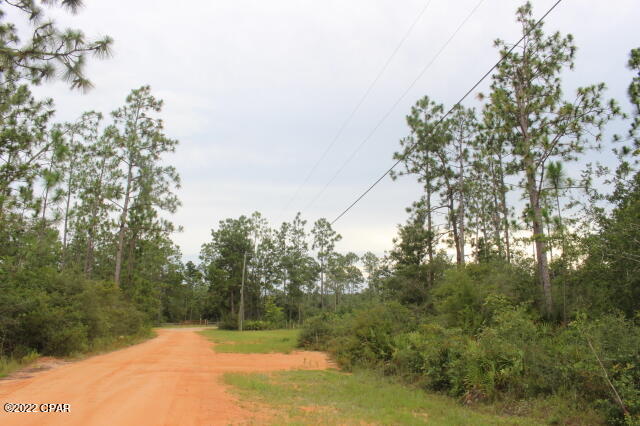 Buckhorn Creek - Land