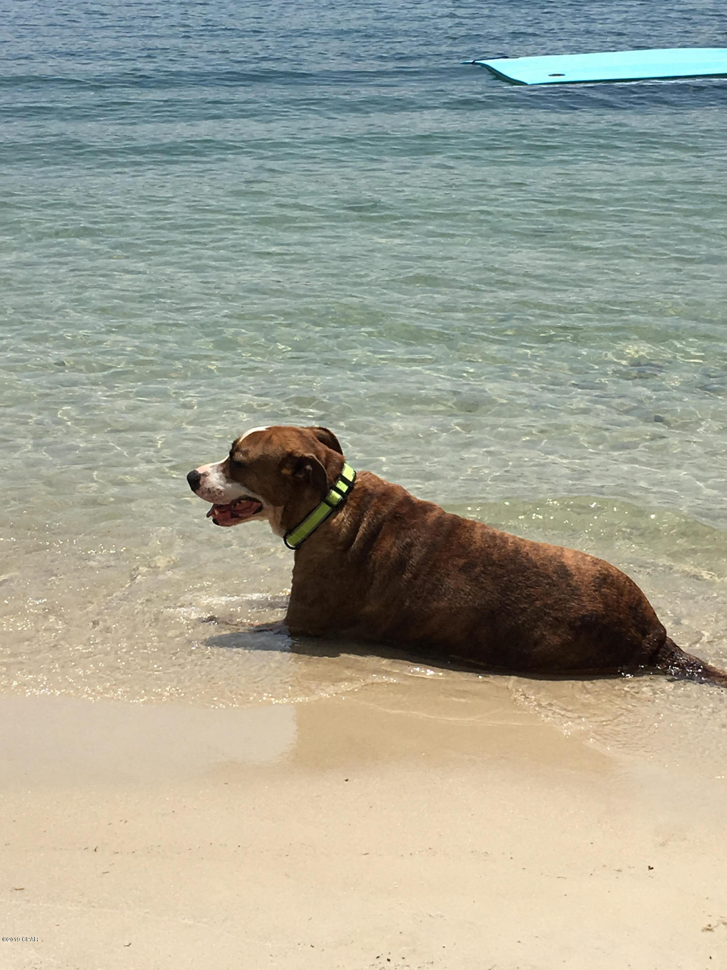 Crystal Lake - Residential