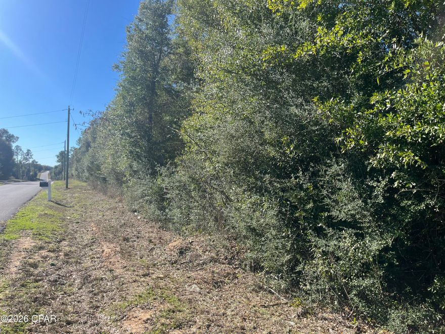 Awesome 10 acre wooded tract in north Florida with potential owner financing.  Don't miss this great parcel of land so close to the beach yet very private and awaiting your dream home build.  Just trees and land so you have a blank canvas to make your Florida retreat dream a reality.