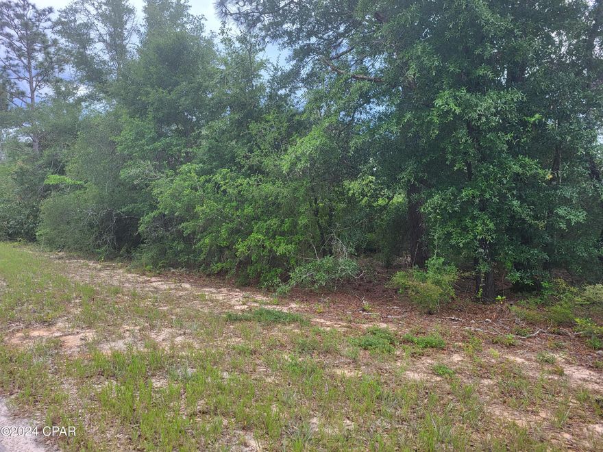 MANUFACTURED HOMES ALLOWED on this 1 Acre Lot in Compass Lake in the Hills.  This lot is very private.  This is an area that starting to grow.  Dirt Roads but level lot!   There is a Voluntary POA (Property Owners Association).  Drive by and take a look at this lot.