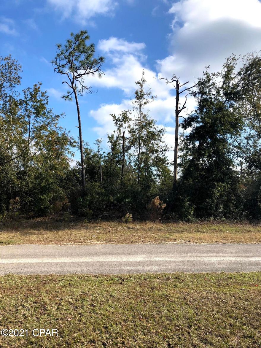 Two large building lots side by side offering a homeowenr over a 1-acre homesite.  Lots are elevated high and dry and should never have any drainage issues.  The property has natural vegetation on it consisting of pine, oak, and scrub.  These lots are very conveniently located on a well maintained paved road just a short distance to the main route through Sunny Hills.  The lots are convenient to the community park and beach  located on Boat Lake.  This  natural Sandhill lake is crystal clear and is fed by over a dozen natural springs in the lake.  Sunny Hills is very convenient to both Panama City and Chipley Florida with both of them being about 30-minutes travel time from Sunny Hills.  Residents in the area are surrounded  by thousands of acres of forest lands featuring world class fishing lakes and ponds, hiking and equestrian trails, hunting lands, etc.  The two lots are lots 31 and 32 Block 34 Sunny Hills Unit 1