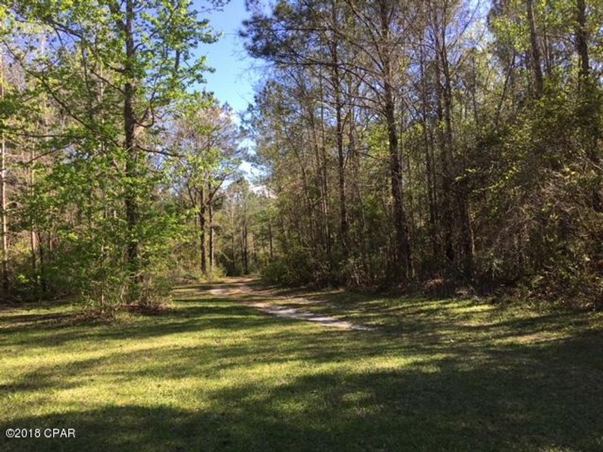 If you've been looking for the perfect place to build your home, this is it! Beautiful old growth trees, rolling hills, and wildlife give character to this property.  The seller owns a total of 78 acres and is selling 48 acres. Bring your horses or other animals and have room to roam. Near Morrison Springs State Park!  Convenient to I-10, yet just 45 minutes to the beach!  Priced at $4,000/acre based on survey. Survey at buyer's expense.