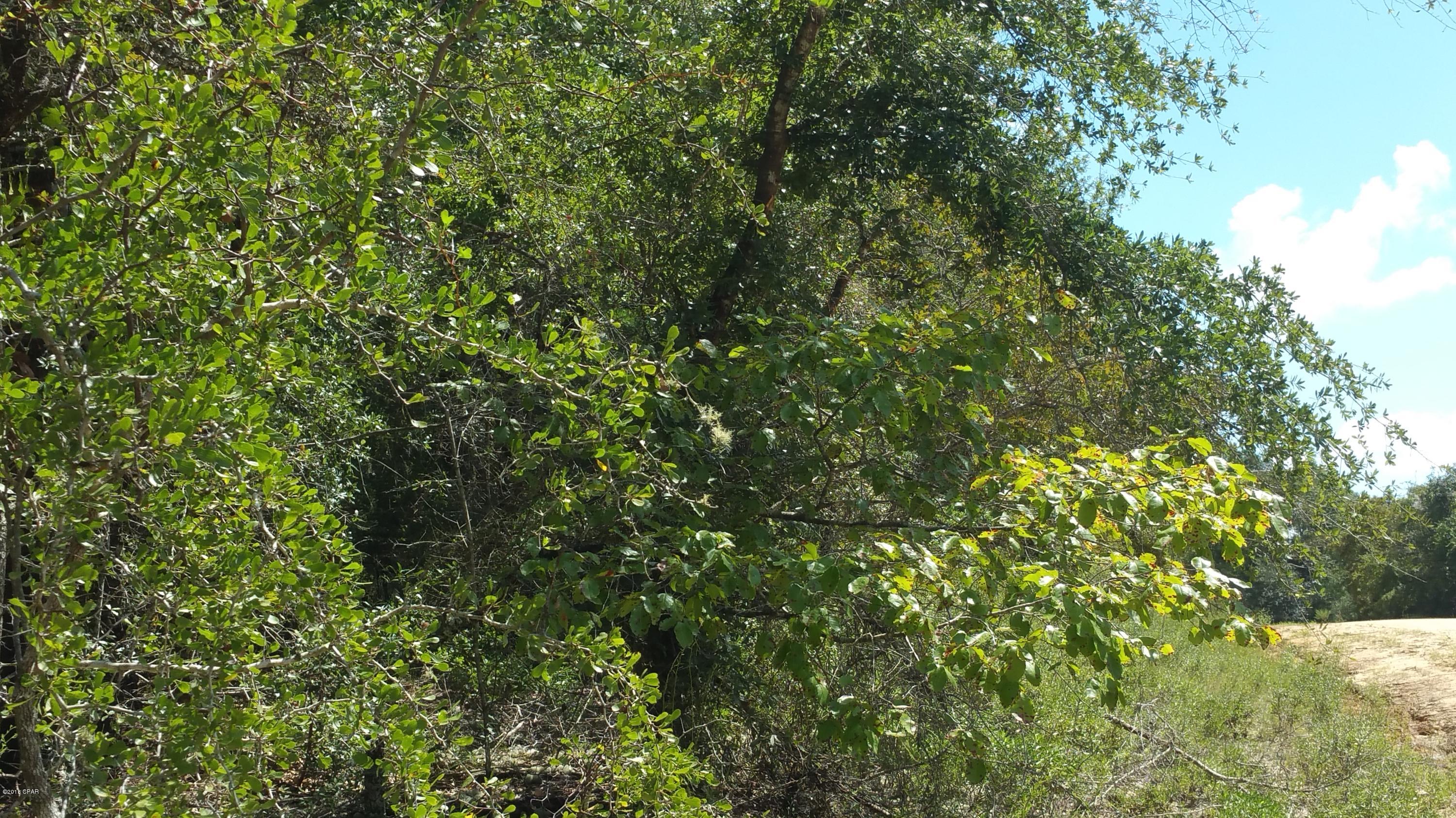 Compass Lake Hills Unit 6 - Land