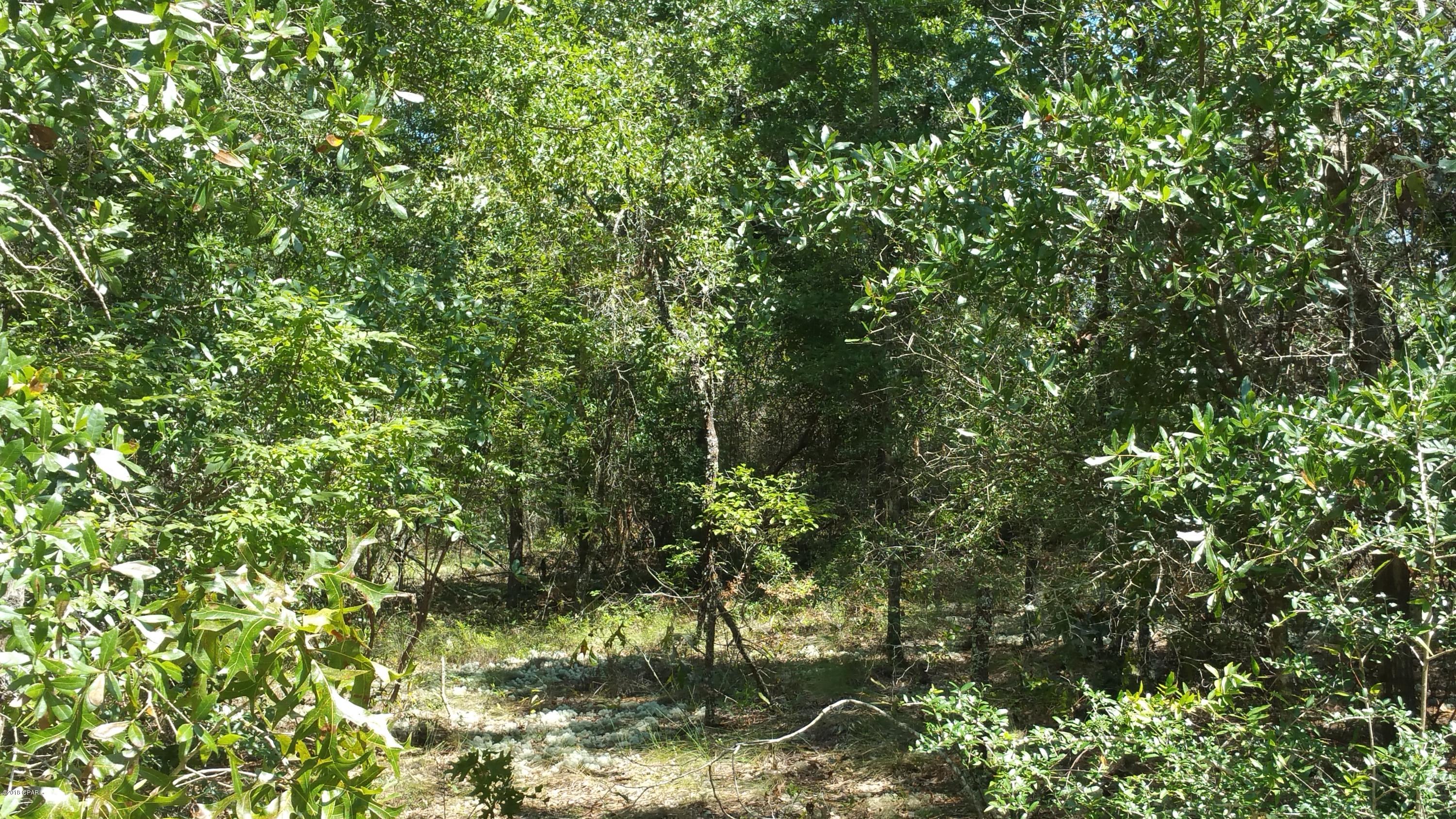 Compass Lake Hills Unit 6 - Land