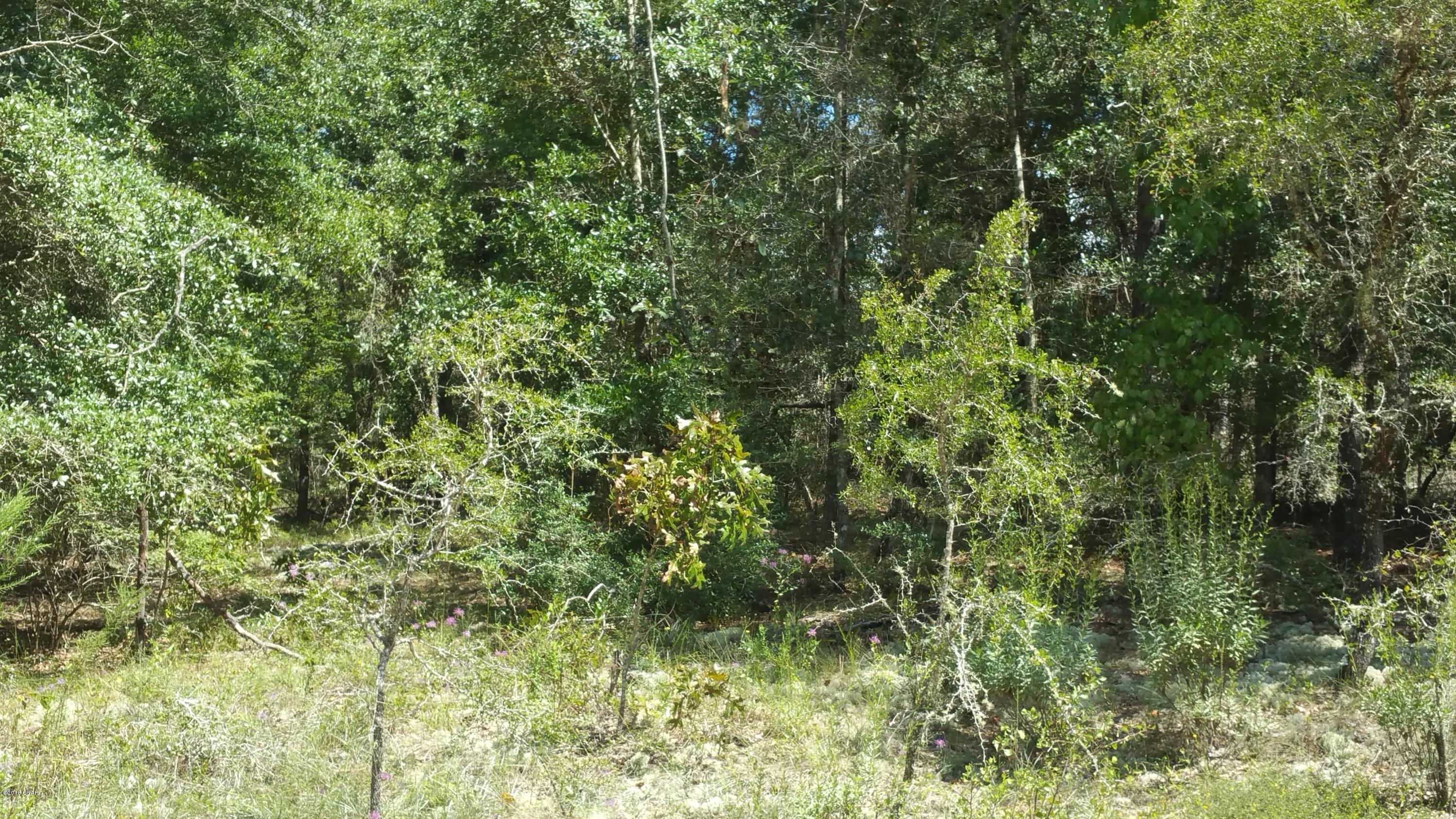 Compass Lake Hills Unit 6 - Land