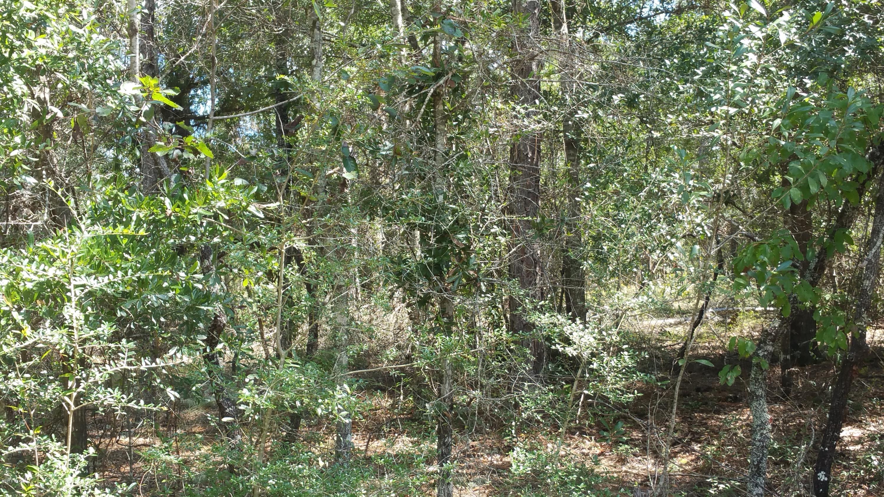 Compass Lake Hills Unit 6 - Land