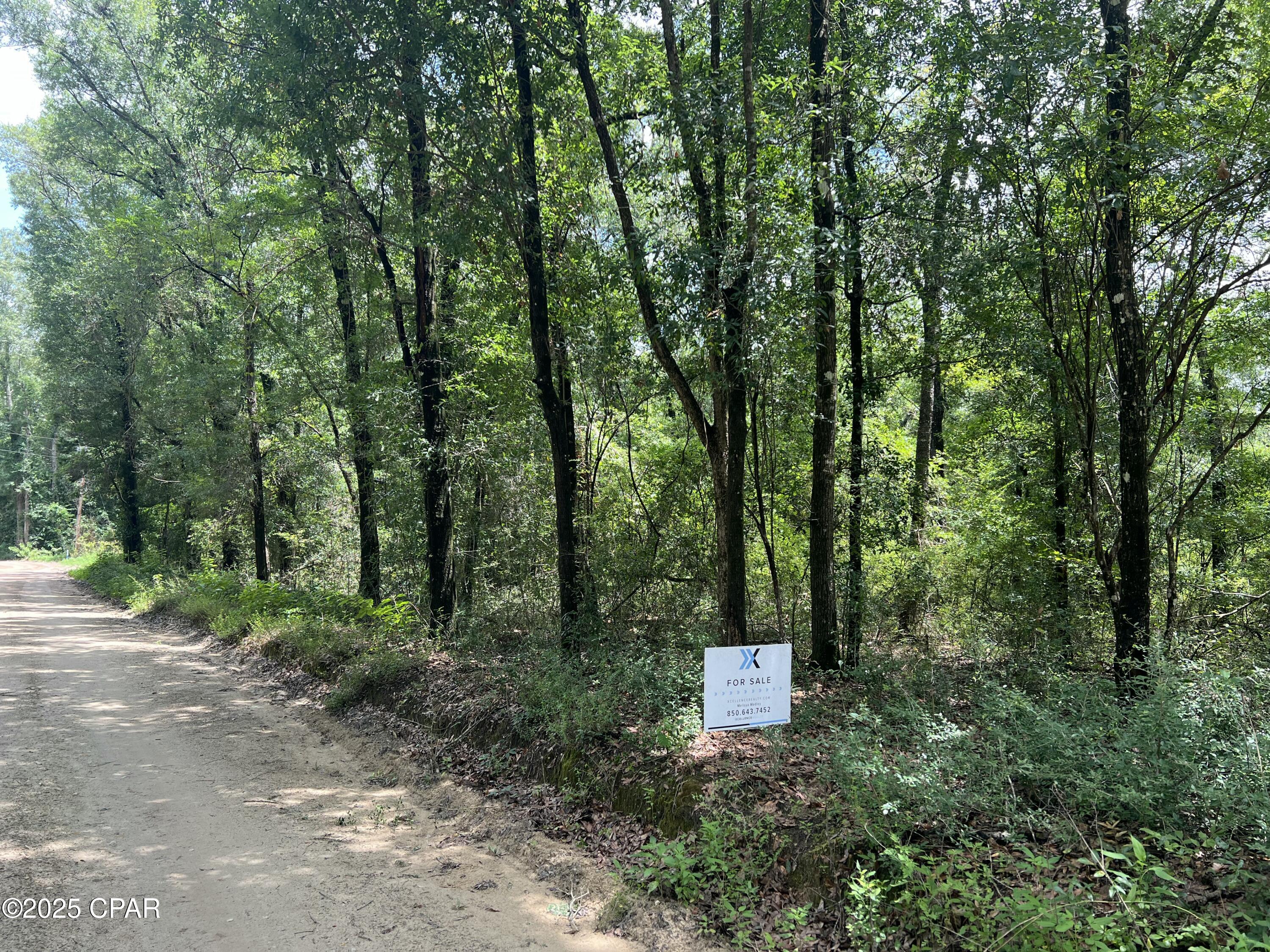 Dogwood Lakes - Land