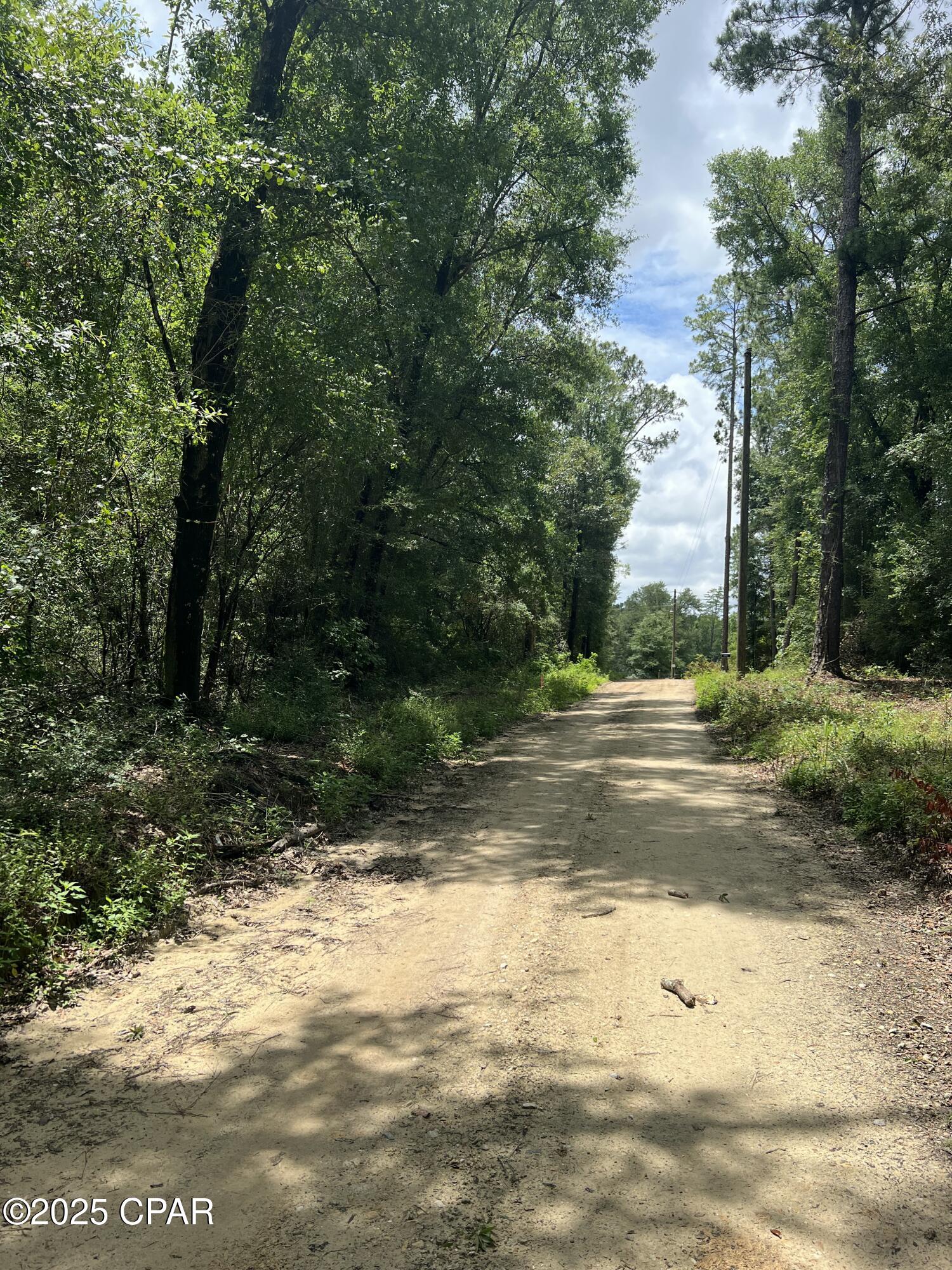 Dogwood Lakes - Land