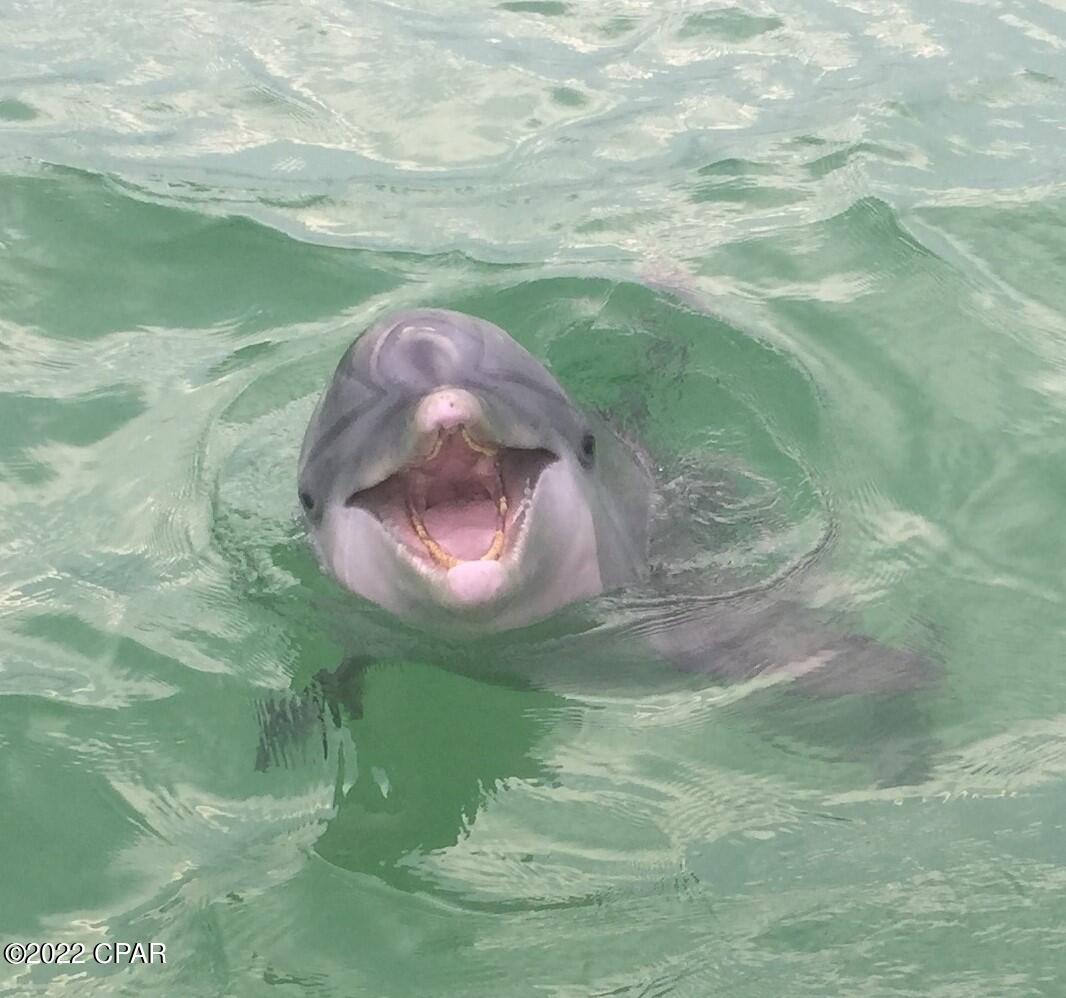 Watercrest Condo - Residential