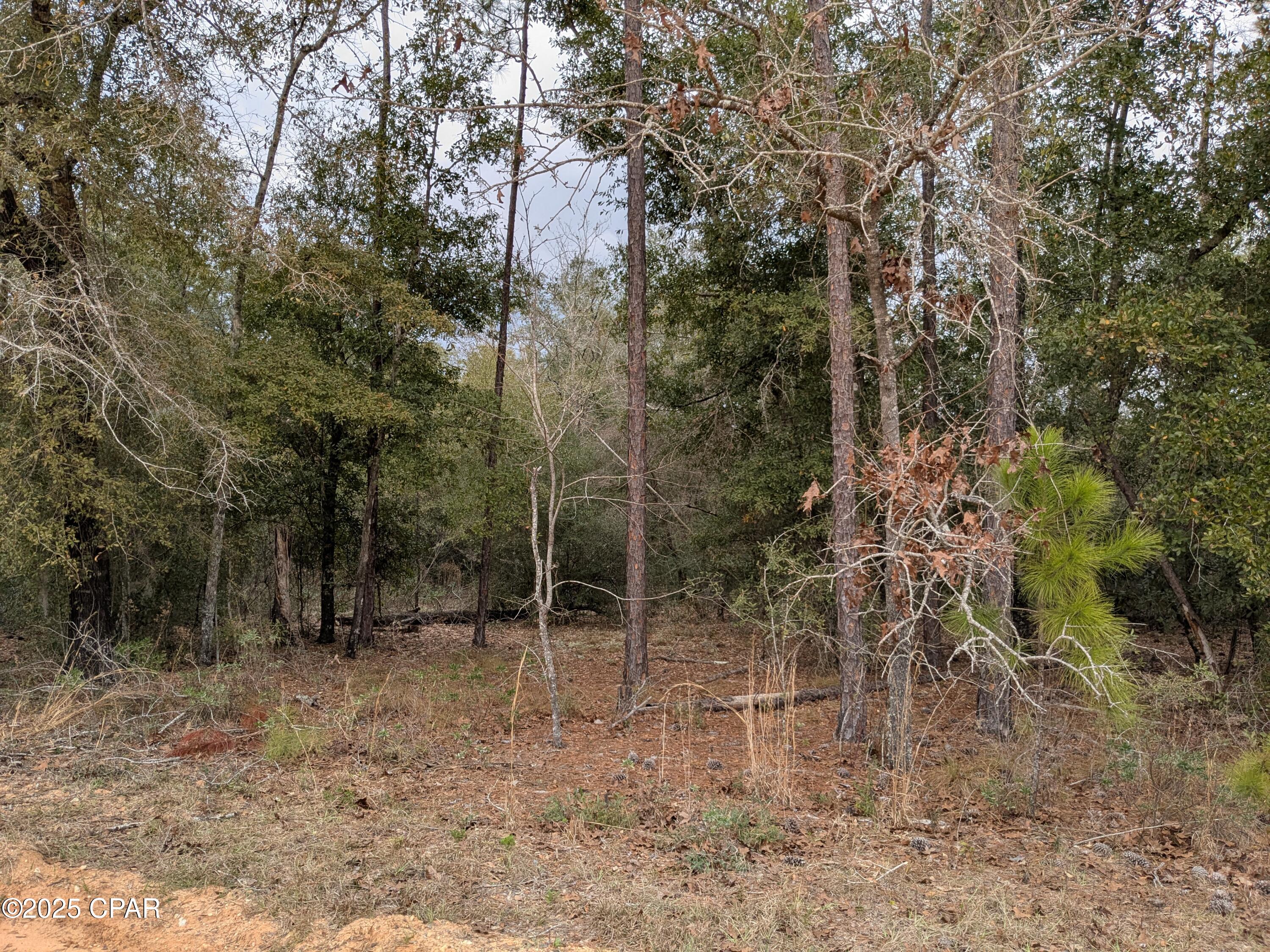 Compass Lake Hills Unit 3 - Land