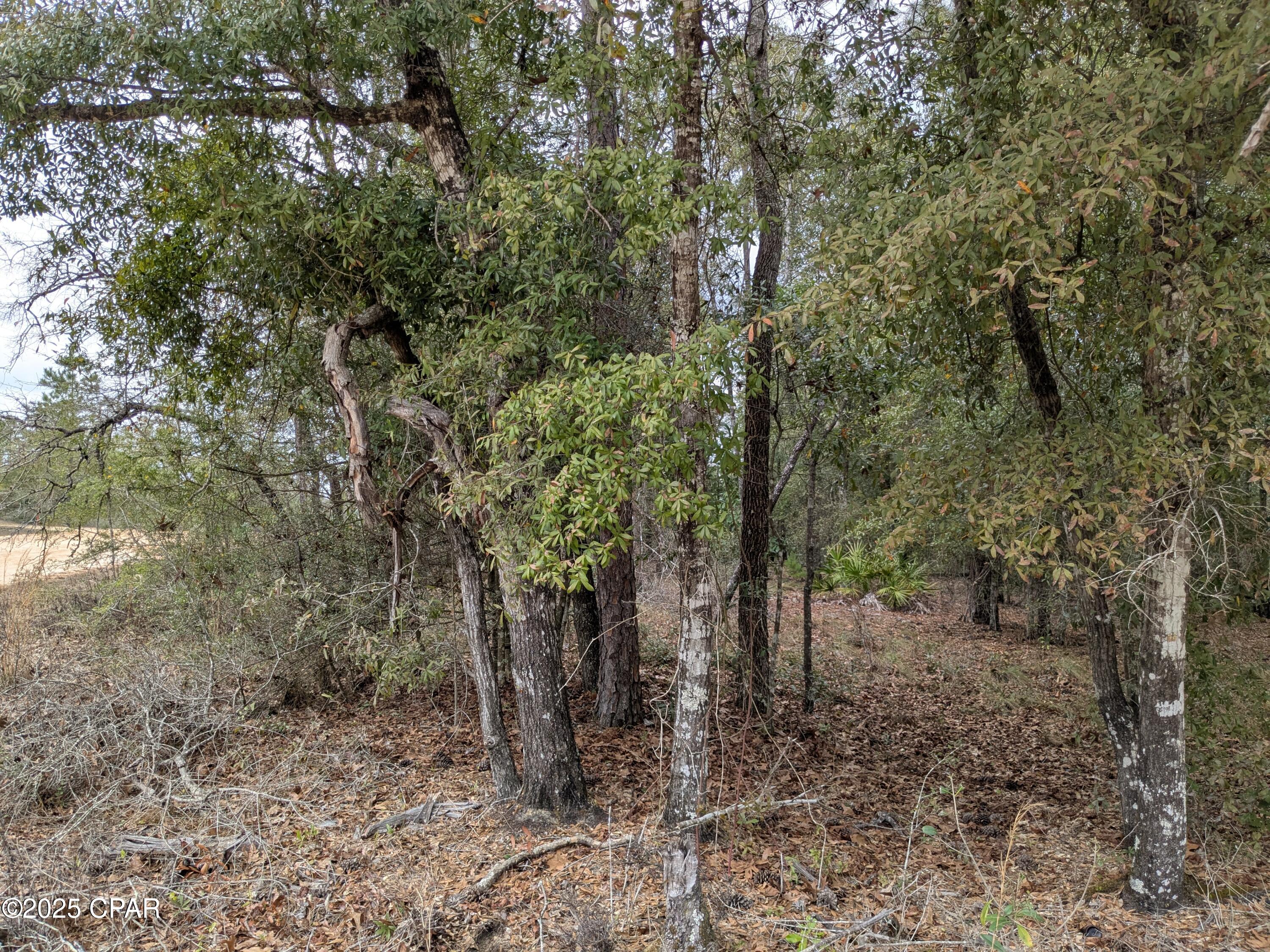 Compass Lake Hills Unit 3 - Land