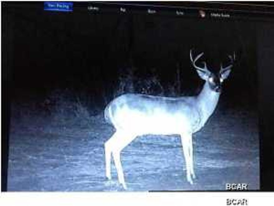 6 plus acres of lightly wooded land adjacent to a park on county maintained road just 12.5 miles from the mall!!! Has Jaycee Rd/Jody Ln access with a gated entrance. Additional 6 plus acres also for sale. Talk about privacy, 1 neighbor on the North side, 63 acres on the West side, 6 acres on the South side and a park on the East side!!! Ready for your new home or recreational use.