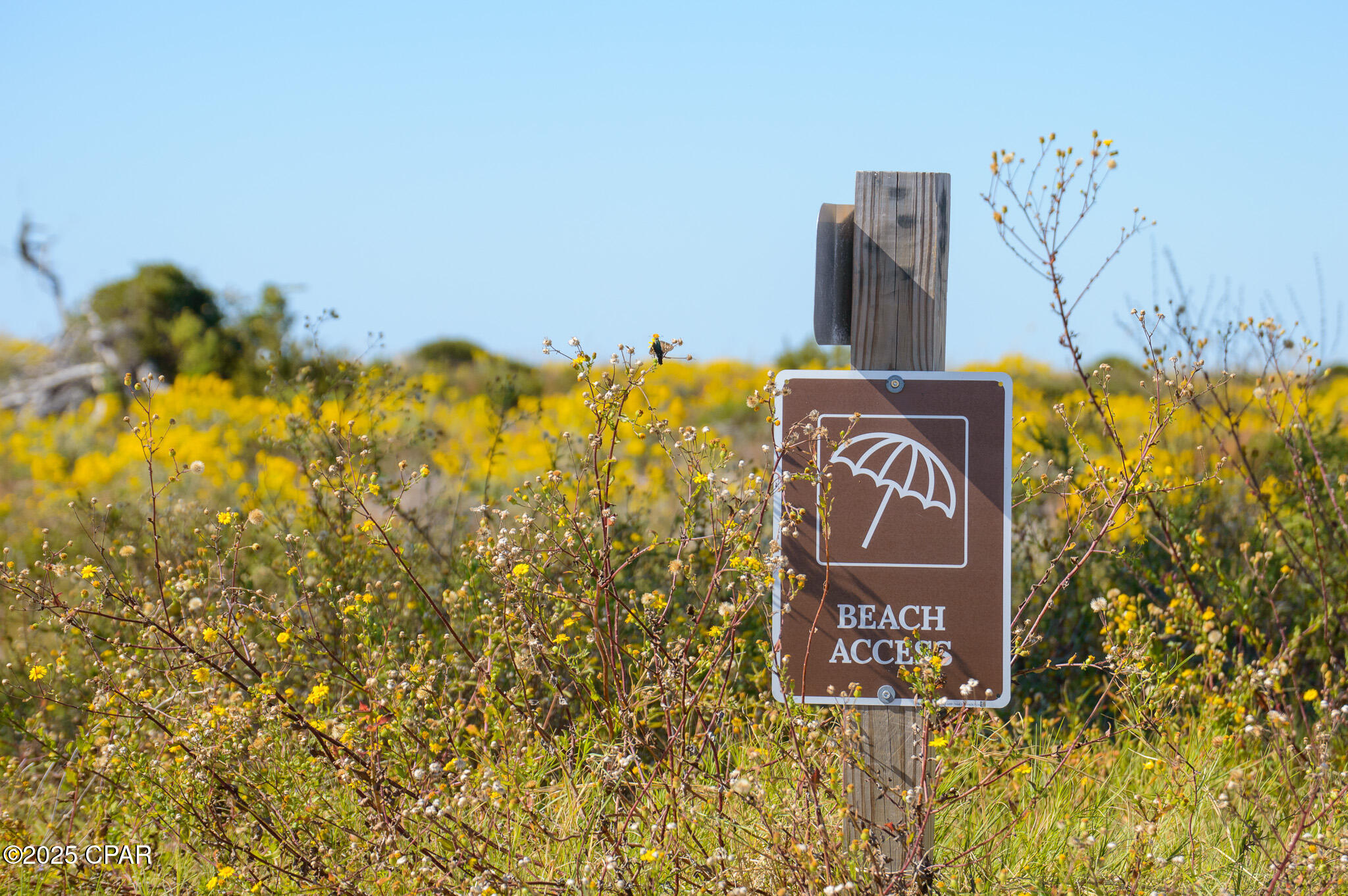 Windmark - Residential