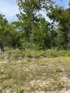 Sunny Hills Unit 14 - Land