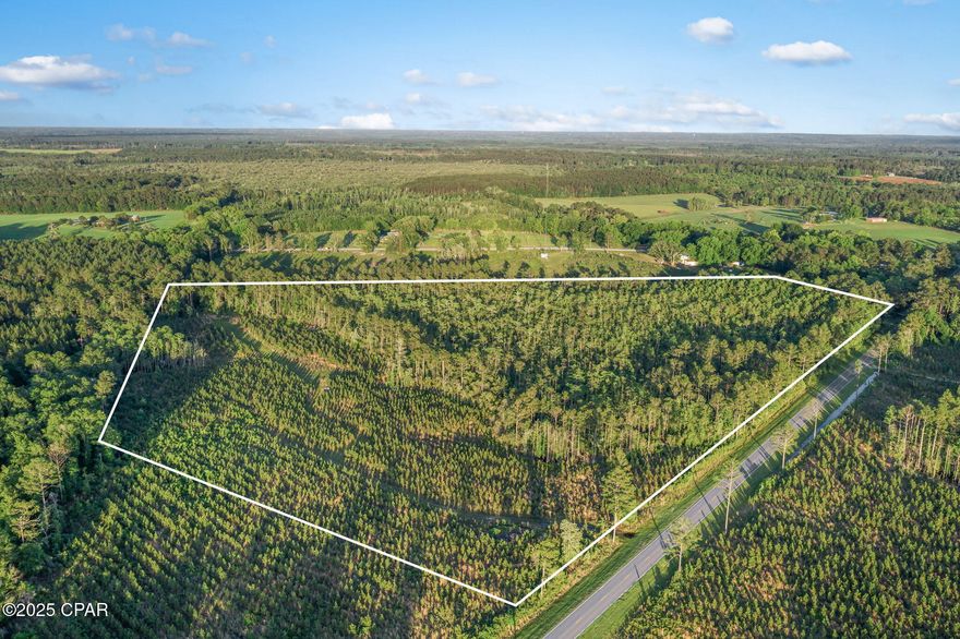 This exceptional 17.76+/- acre parcel offers an ideal location for constructing a dream residence. With frontage along County Road 177, the property provides convenient access while preserving a serene rural environment. Furthermore, its proximity to Highway 79 ensures easy access to nearby amenities without compromising the tranquility of country living.