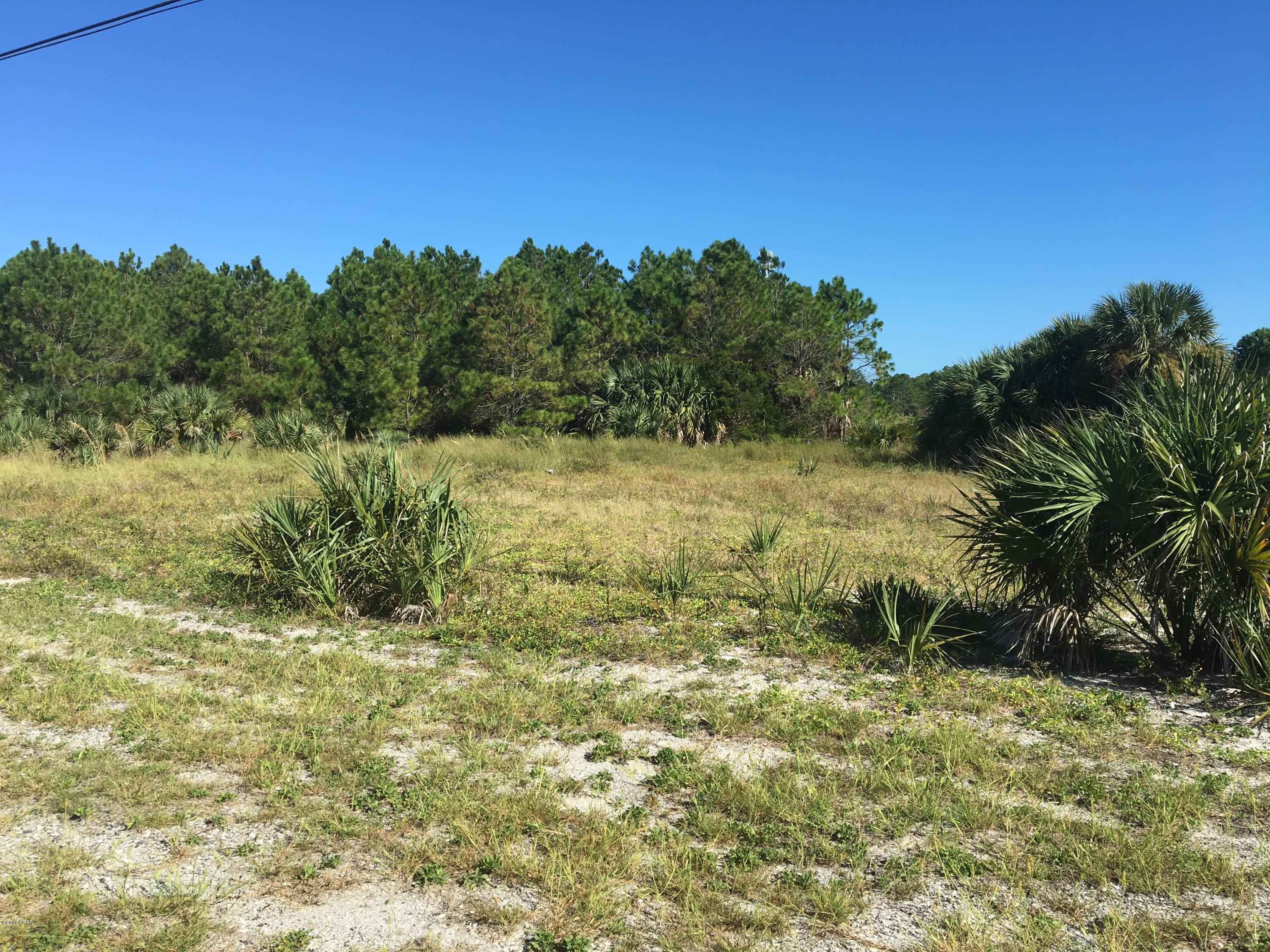 Jamaican Lake - Land