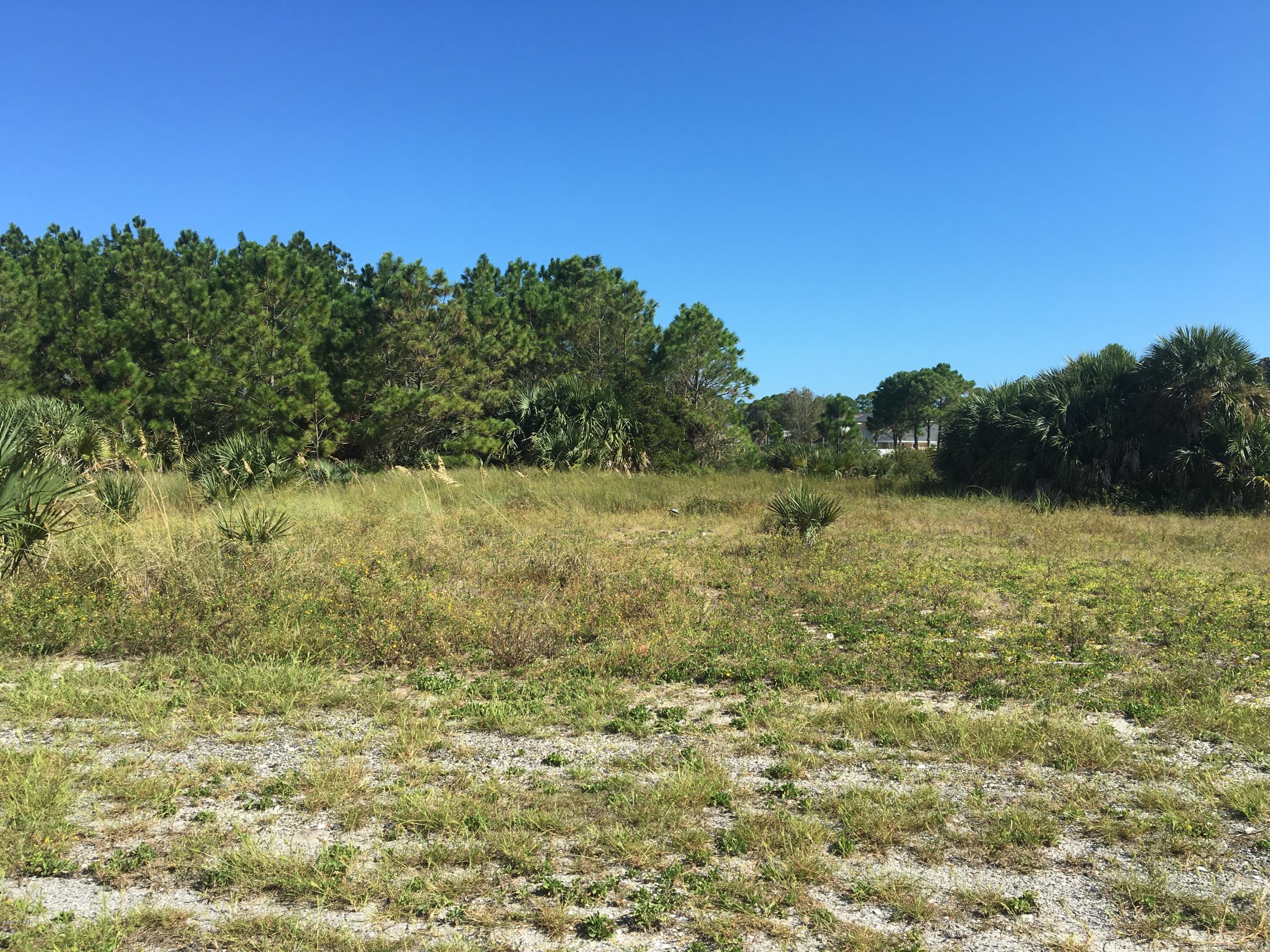 Jamaican Lake - Land