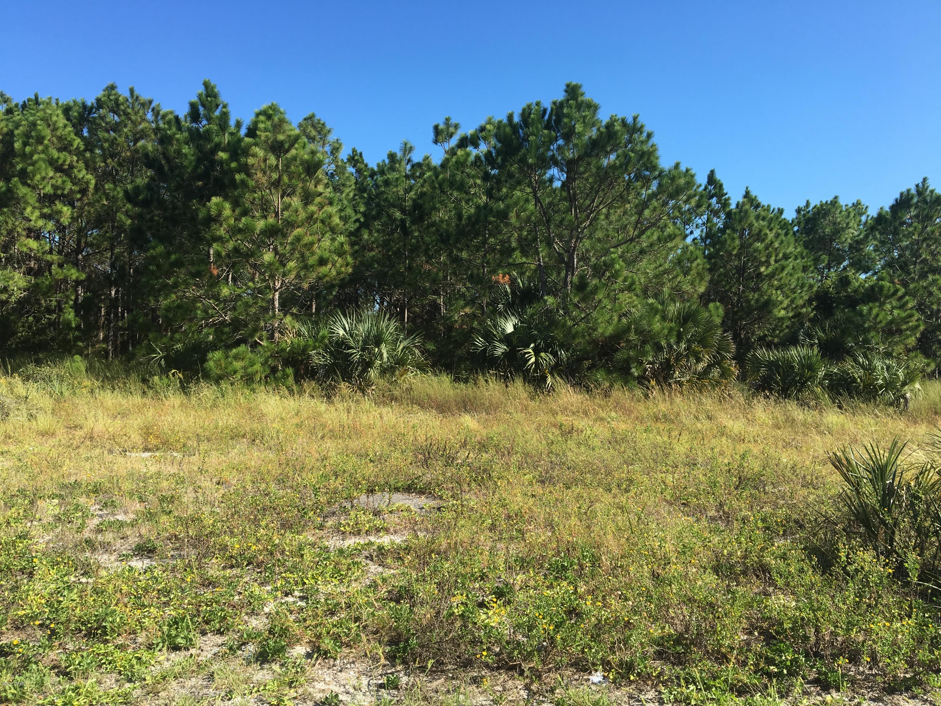 Jamaican Lake - Land