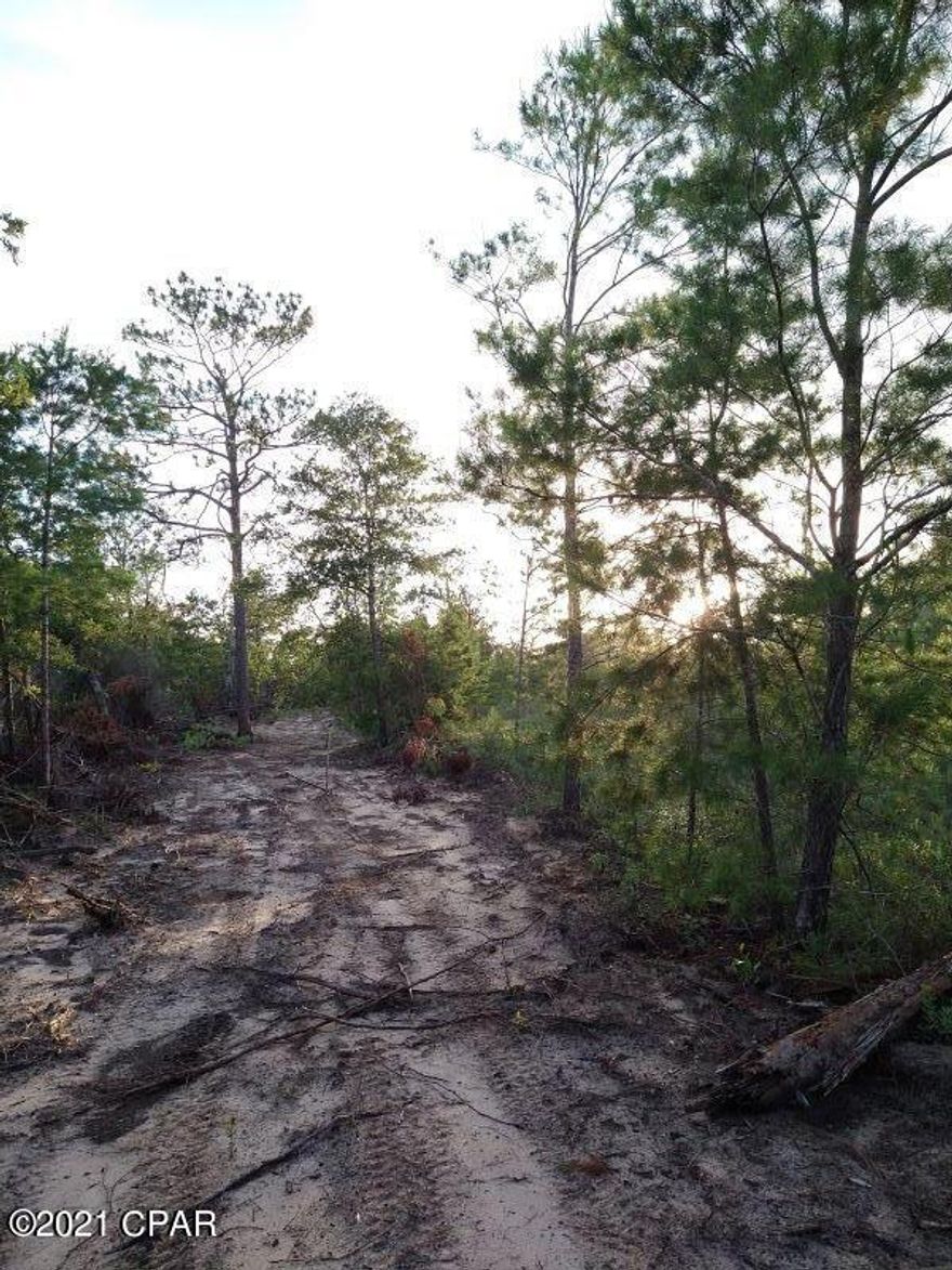2 wooded acres that has been surveyed out of the parent parcel that has NO deed restrictions. Great weekend retreat or live full time.  Located on a paved road.  Close drive to Hwy 167 & Hwy 274 which south is Panama City to Beaches and North is to 1-10 & Marianna for close shopping at WalMart & Lowes.  The adjoining 3 acres available for purchase.  See MLS  714011.  The property lines have been cleared.  Mobile Homes and farm animals are welcome.