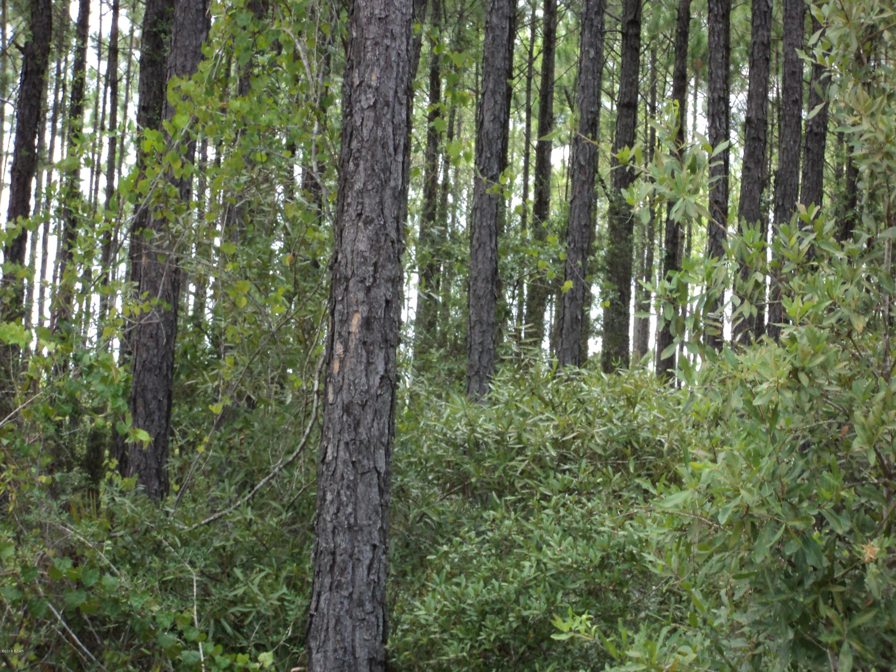 No Named Subdivision - Land