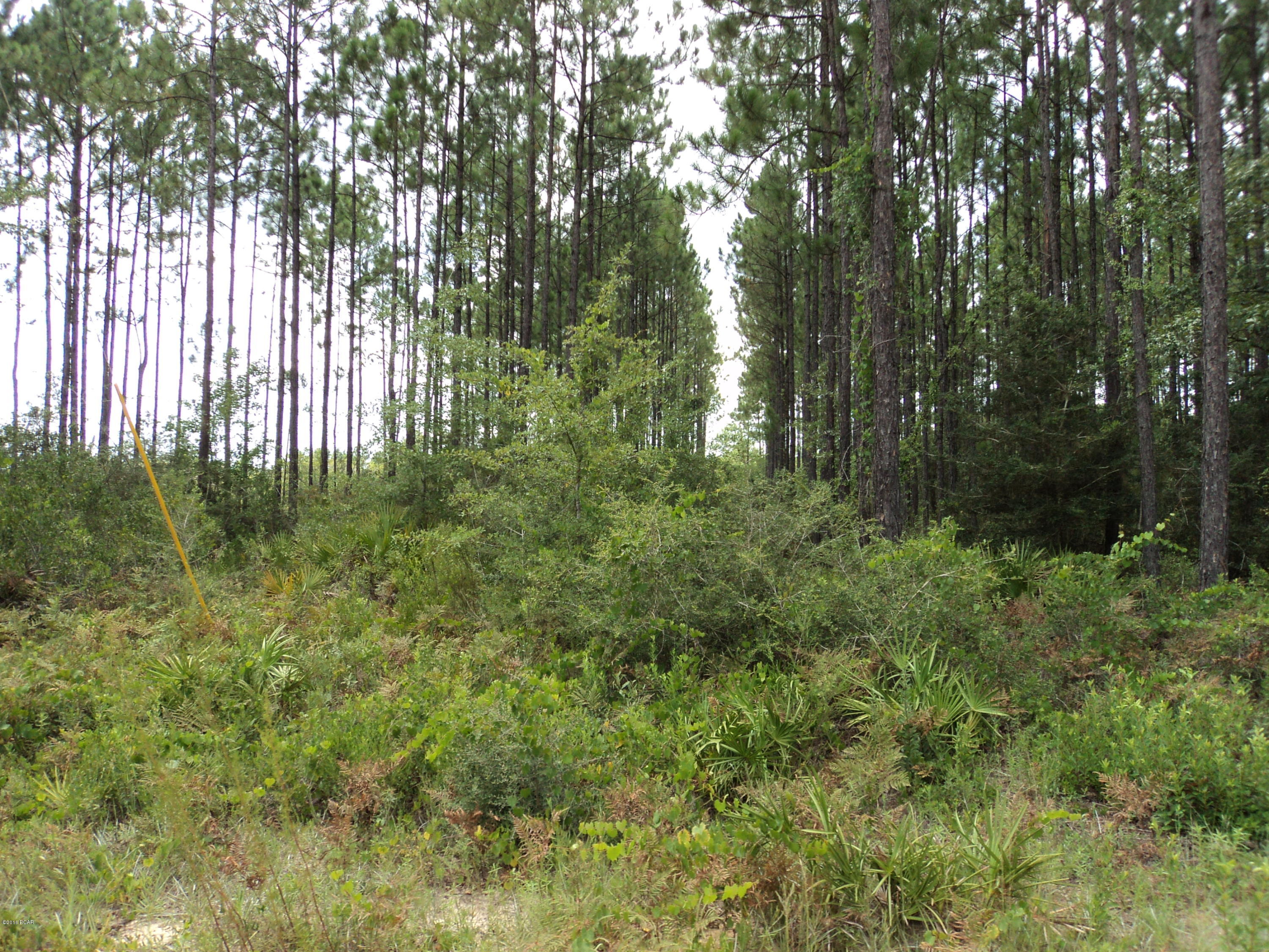 No Named Subdivision - Land