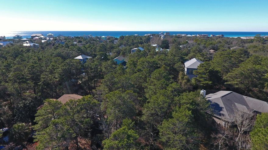 Approved Short Sale on residential Land - Santa Rosa Beach-

Beautiful lot to build your dream home just a short distance to the beautiful Gulf of Mexico and Scenic 30-A! Short sale - seller is letting this go for a fraction of what they paid. Please go see this land, relatively quick close at the list price.  Call your Realtor to make an offer!