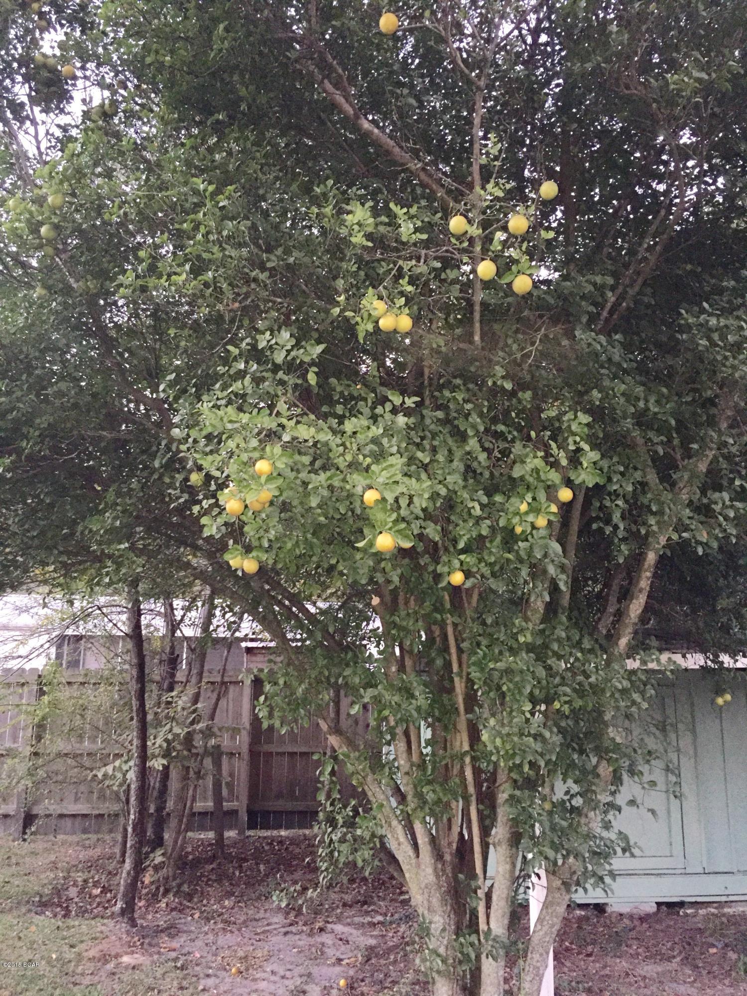 Dixie Heights - Residential