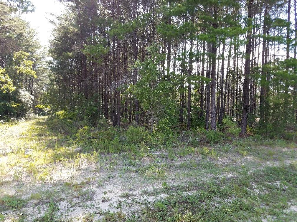 White Western - Land