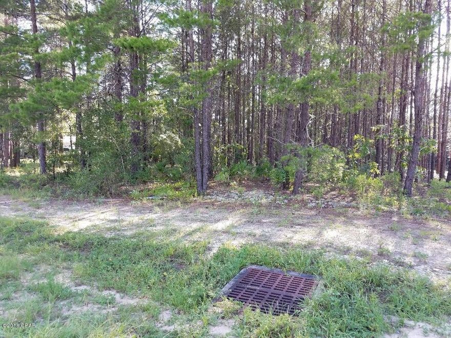 Large wooded lot in a growing residential area that you can build or add a mobile home. Located near cul-de-sac with paved streets, underground power,phone and cable. Country living at its best. Buyer to pay sellers closing cost. Lot dimensions are approximate if important please verify.