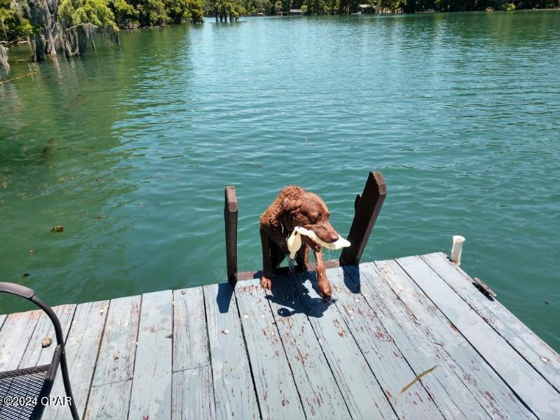 Merritt Heights - Land