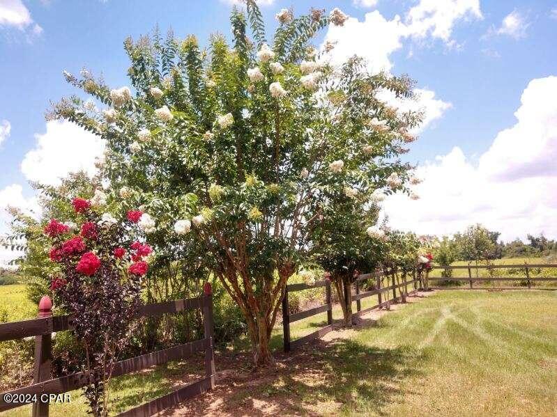 Merritt Heights - Land