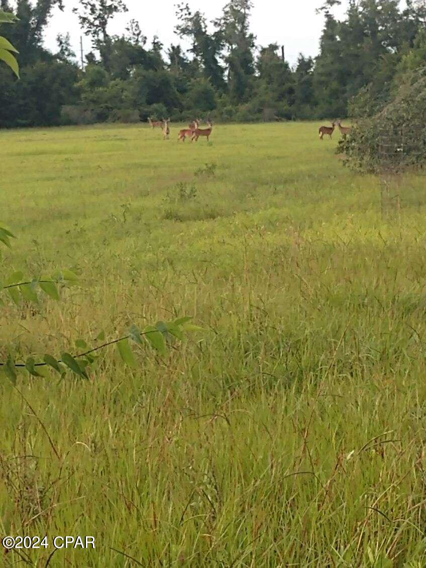 Merritt Heights - Land