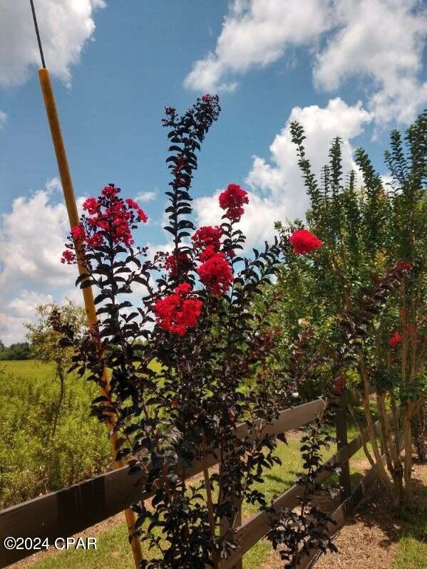 Merritt Heights - Land