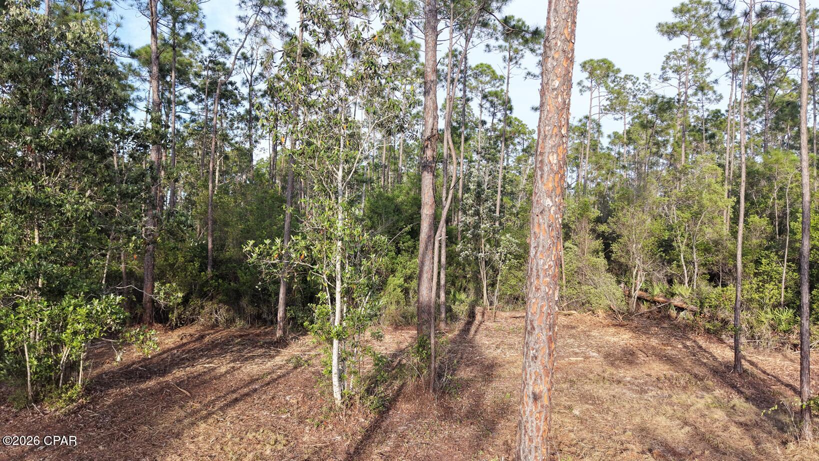 Laird Point - Land
