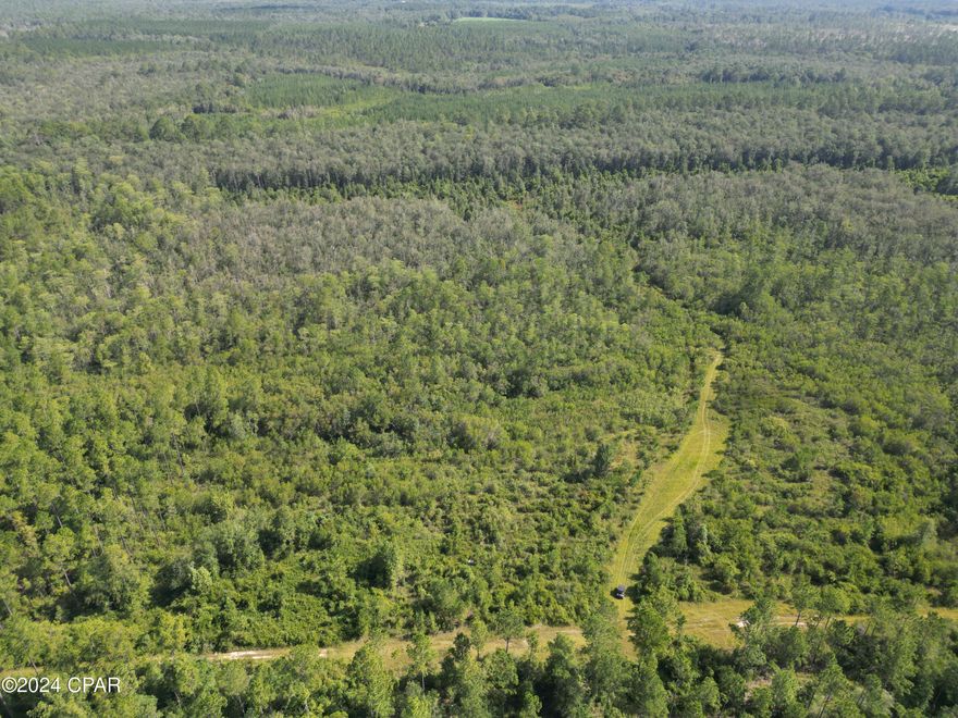 This is truly a rare find! Priced under $3,000 an acre!   Welcome to your dream recreational and hunting property located in beautiful Washington County, FL! This expansive 120-acre parcel of land offers endless opportunities for outdoor enthusiasts. With a mix of pine trees and rugged terrain, its ideal for those who enjoy ATV riding or exploring nature!
Teeming with white tail deer, turkeys, and other small game, the property is truly a sportsman's haven.  This expansive tract will allow you to enjoy hunting on your own private property!  
Choose from multiple homesite locations and build your perfect homestead, getaway retreat, or hunting cabin. Conveniently located near Panama City, FL beaches, you can easily enjoy coastal excursions while being just a short drive away. Or, spend the day kayaking or tubing down Holmes Creek that is only five minutes away.  
Don't miss out on this amazing opportunity to own a piece of paradise in Washington County! Whether you are an avid hunter, nature lover, or searching for a private and beautiful home site, look no further!  Contact us today to schedule a showing.

Additional information:
*120 acres of wooded land with pines trees - ready to explore or develop
*Ideal for recreational activities such as hunting and trail riding
*Multiple homesite locations to choose from
*Priced at under $3,000 and acre
*Paved road frontage for easy access
*Gated entrance
*3 miles to Vernon, FL
*3 miles to Holmes Creek
*20 miles to Chipley, FL
*38 miles to Panama City Beach, FL
*45 miles to Blue Springs Recreation Area