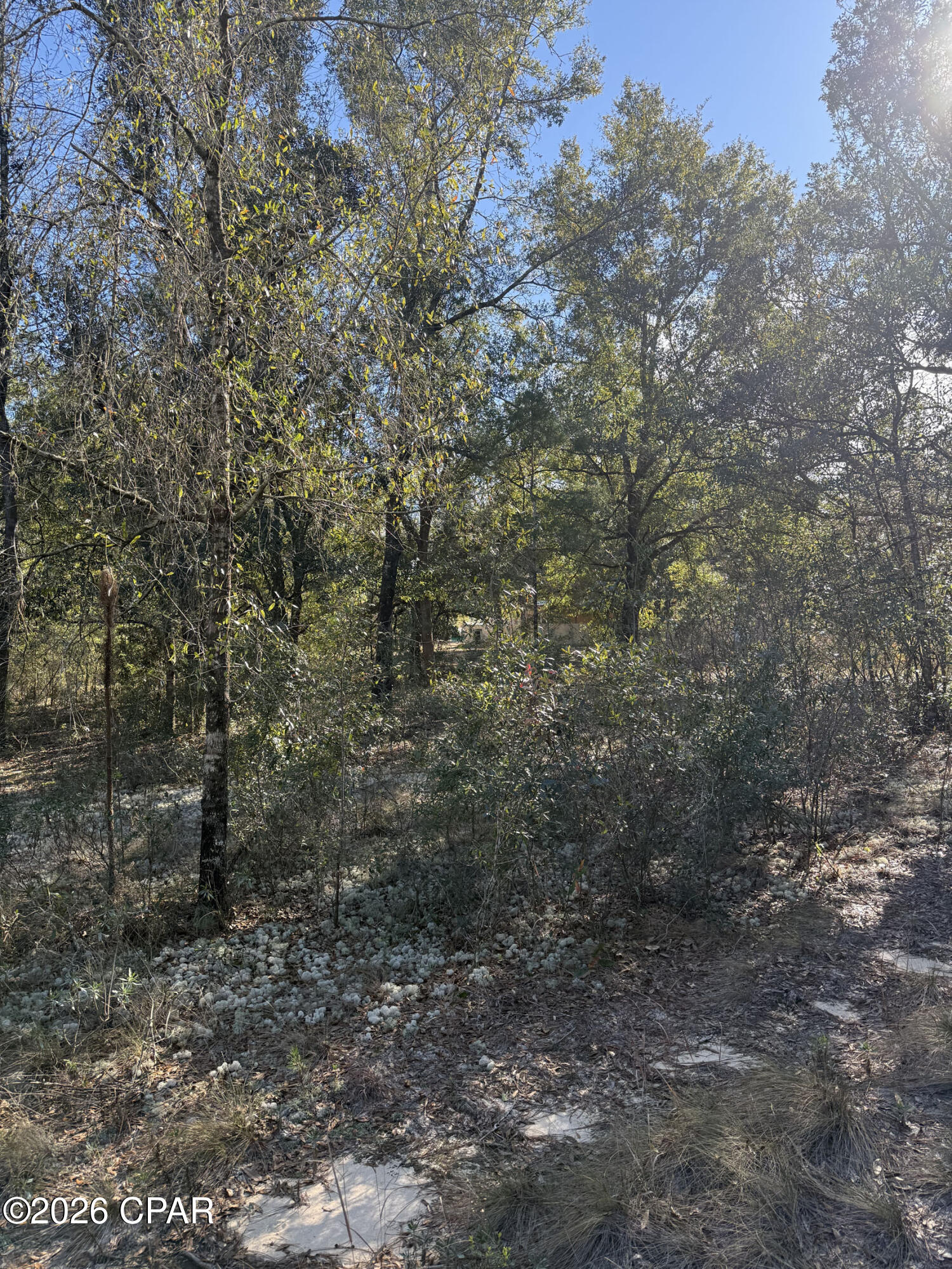 Grassy Pond Ranch - Land