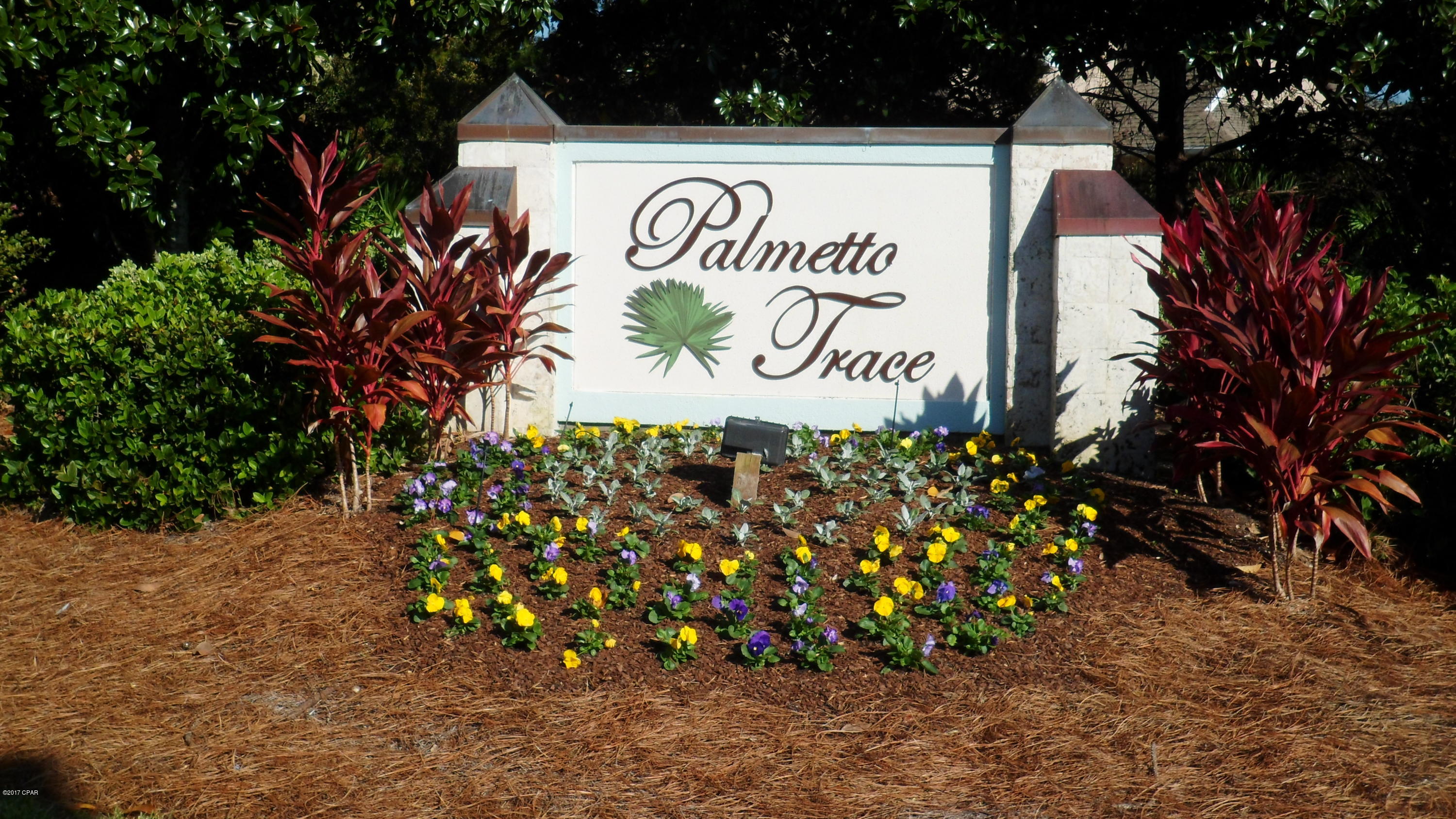 Palmetto Trace - Residential