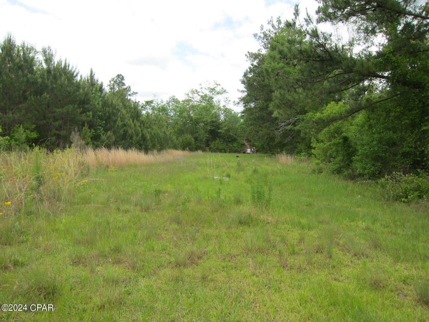 Property has been used as a GUN RANGE There are two parcels, one with 9.74 with a mobile home for an office, the other parcel is 9.43 acres combining to contain 19.17 acres.  Property has several metal buildings and pole barns.  Well and septic included.   Pistol range and rifle range, with additional land to expand as needed.  2004 Mobile home on site.  Located only 7 miles south of Marianna and an hour from Panama City Beach.   Call today to see if this property is right for you!!