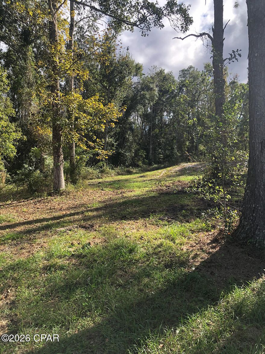 Private one half acre lot at the dead end of paved road.  This lot offers privacy, quiet , no drive by trafficlocation. East boundary is government land and the back of property is government land FWCC Has 379 acres that border the East boundary and rear of property. Howard Creek is friendly golf cart community with small store, park/ playground, church and fire department,ice, gas  and supplies ar store.  Big timber, partially cleared with existing septic tank and deep well that have never been used. Some wetlands, survey available, No power pole  on lot, but  electricity , power pes on Max Fleming rd from Gulf Coast electric. World clans fishing for the rivers, East River, Apachacola  river, Brothers river et.  Upper and lower landing I Creek and Saul's public boat launch nearby.  White city, short drive offers a public launch to lake Wimico, Gulf County coal and the St Joe Bay.  St. Joe and Mexico Beach , short drive, about 20 minutes away offers beaches, marina, charter boats, scalloping, charter boats, restaurants and shopping.  Wewahiticia is a 20 minutes away drive with groceries, drug store, fast food, small town shops, schools, gas, and supplies. Panam City ad Panama City Beaches are a  shot drive offering all types of entertainment, golf, fishing, fine dining, tourist attractions, amusement parks,pier park shopping,  and several concert/ large events/ thunder beach activities in Panama CITY BEACH ( short drive away)  each year.. the property to the East of subject lot and to the rear owned by TITF FWCC , 379.27  acre parcel according to property appraiser map  subject property   as East ad South boundaries with State owned Land. Florida Wildlife  Conservation. .379. 27 acres (according to Gulf County map on appraiser site.)  adjacent to subject property. . Boat launch nearby at upper and lower landing in Hward Creek community.